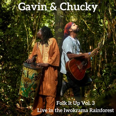 Folk It Up, Vol. 3